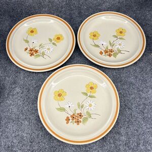 Ji Stonecrest 206 Pamela 10 5/8" Dinner Plate Vintage Retro Orange Stripe Floral